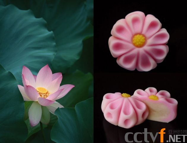 wagashi-sweets-and-flower