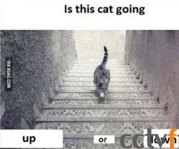 è¥ ˭˭