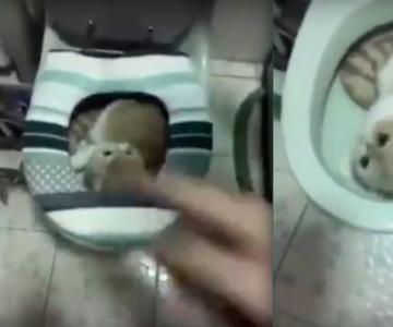 仨ҳʲô èͰ˯ը èķӦȻ