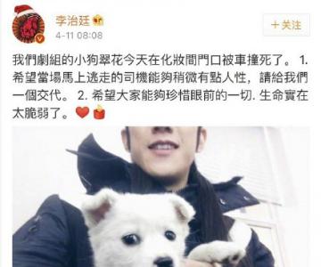 李治廷剧组小狗被撞死 网友关心的竟是这个