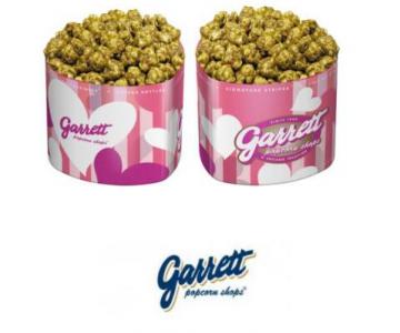 Garrettֱ׻Ƴ˽ϵװ