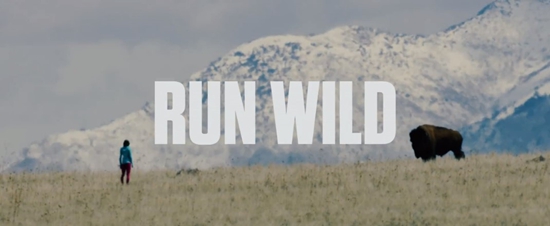 ĳ JAYBIRDƳȫܲƬRUN WILD