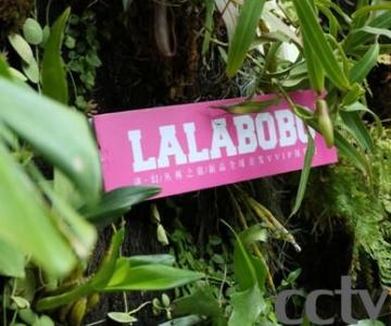 LALABOBOƷȫ | IPע
